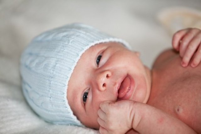 Sesiniz, evdeki hareket onu heyecanlı tutacaktır.