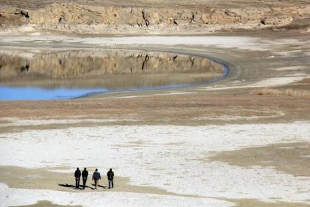 "İklim değişikliği, biyolojik çeşitlilik kaybı, ormansızlaşma ve su krizi açıkça gösteriyor ki doğa, mevcut tüketimimizi karşılamakta yetersiz kalıyor"
