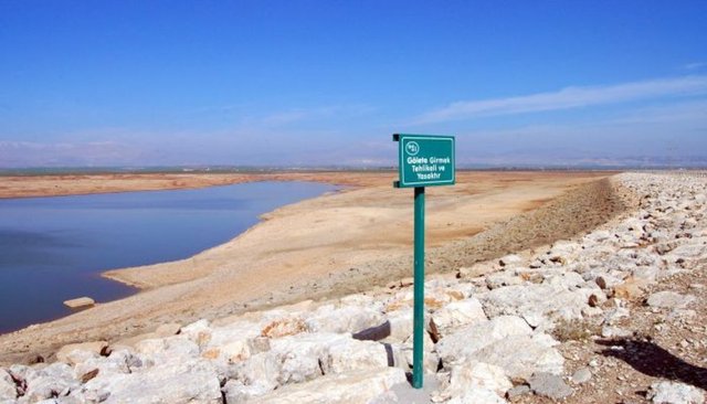 "Türkiye'nin sürdürülebilir geleceği için, "büyüme" gibi ekonomik parametrelerin yanı sıra "ekolojik ayak izi", "yaşayan gezegen endeksi" gibi ekolojik göstergelerin hesaba katılması gerekiyor"