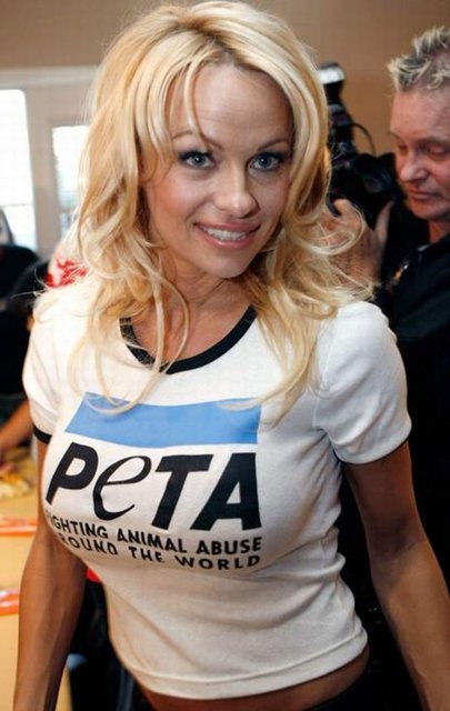 Sıkı bir hayvan hakları savunucusu olan Pamela Anderson, 'buz kovası meydan okuması'nı kabul etmedi.