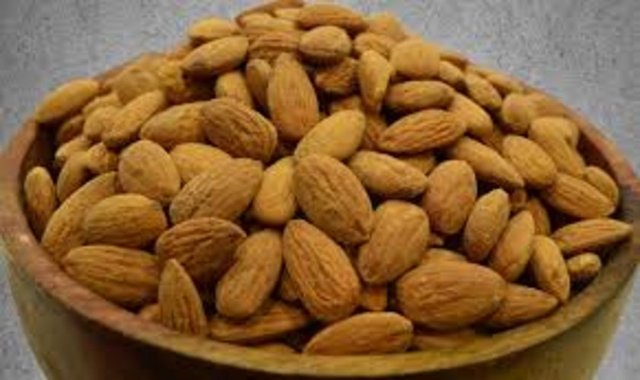 Purdue Üniversitesi'nden Beslenme Uzmanı Richard Mattes