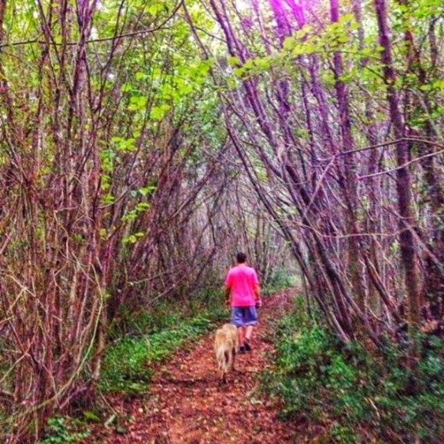 Birlikte yürüyüş yapıp köpeklerini gezdiren çift, fotoğrafları da Instagram sayfalarında yayınladı.