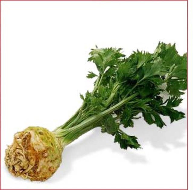 Kereviz yerken harcanan kalori, kerevizin içindeki kaloriden daha fazladır.