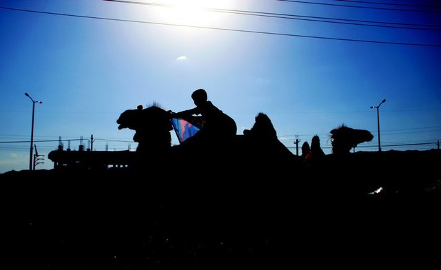 Coşkun, İran'ın merkez kentlerinden Azerbaycan ve Ermenistan sınırlarına kadar bir çok noktasını gezerek fotoğrafladı.