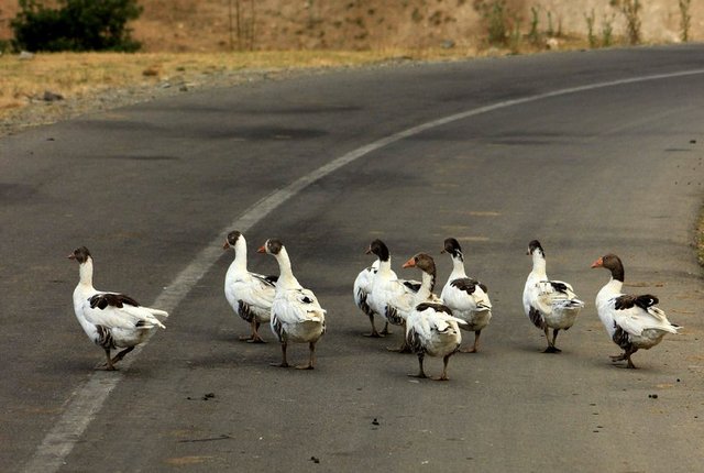 Kafkas, Zagros ve Elburz sıradağları ile nüfusun yoğun olarak bulunduğu Batı bölgesi en dağlık kesim.