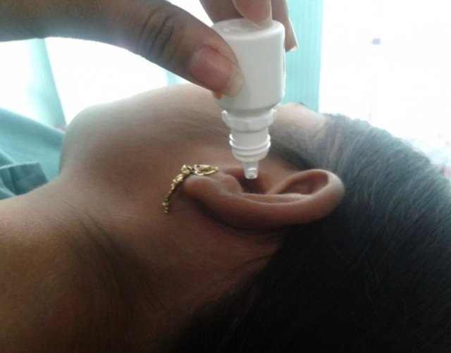 Ama kulak çubuğu ile bu faydalı kirlere müdahalede bulunarak kendi kendimize kötülük yapıyoruz.