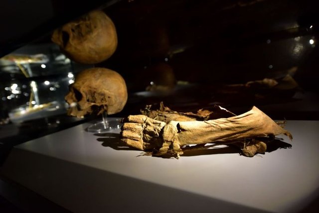 Mumyaların Anadolu Nazırı Şehzade Cumudar, Amasya Emiri İşbuğa Noyin, Amasya'da hükmetmiş olan İzzettin Mehmet Pervane Bey, eşi ve iki çocuğuna ait olduğu belirtiliyor.