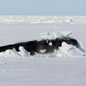 Bir anda ortaya çıktı!
