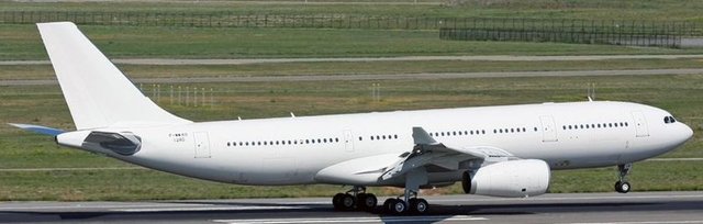 Uçak, Sabiha Gökçen Havalima'nına iniş yaptı.