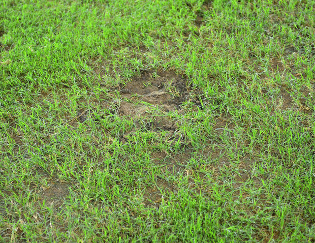 Karşılaşmanın 28. dakikasında topsuz alanda sakatlanan Veli Kavlak, yerini Necip Uysal'a bıraktı.