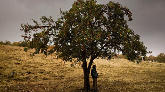 Bir Zamanlar Anadolu'da