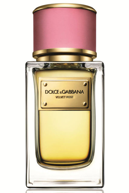 Dolce Gabbana Velvet Rose