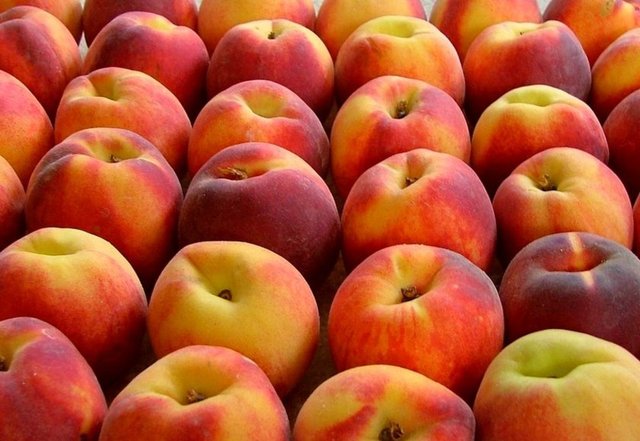 Klorojenik asit varlığı da bu koruyucu etkiye katkıda bulunur