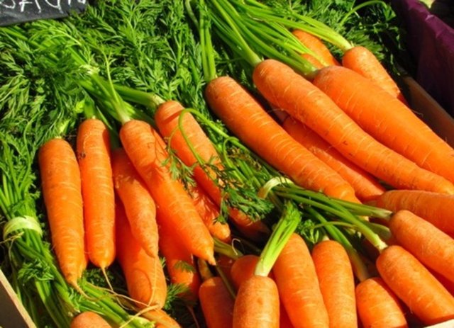 HAVUÇ : -  - A, B1, B2 vitamini ve lif kaynağıdır. Enerji verir. Karaciğerin safra salgılamasına ve kolesterolü dengelemesine yardım eder. Su içeriği yüksek olduğu için şeker hastaları rahatlıkla tüketebilir.