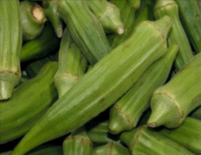 BAMYA : -  - Ülseri önlemede önemli bir etkisi olan bamya, sindirim sistemindeki asidi nötralize eder.