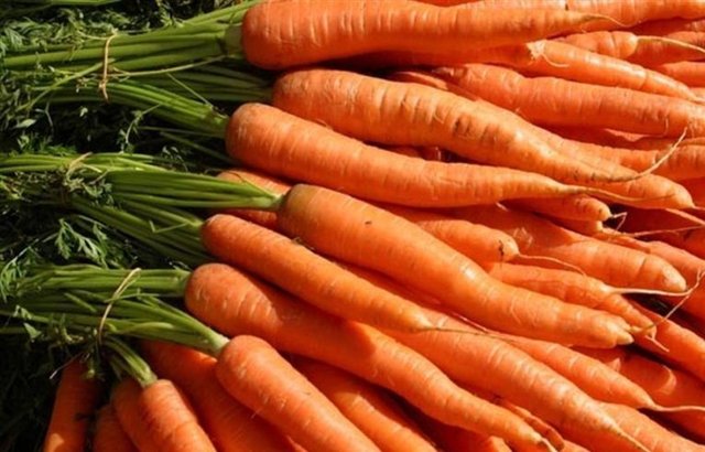 Ayrıca mide ve bağırsak rahatsızlıklarına iyi gelir. Ancak pişirildikten sonra içindeki maddeler çok kısa bir sürede toksik maddelere dönüşebildiği için hemen tüketilmelidir.