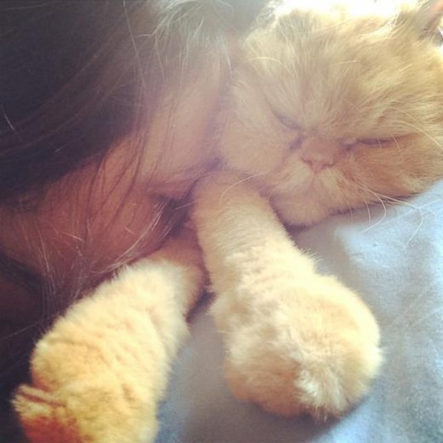 GUPSE ÖZAY - Kafamı ona gömmeyi özlemişim