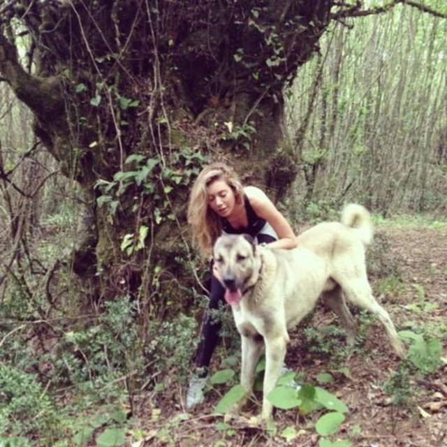 Kobal ailesi, nikahın önümüzdeki yıl yapılmasına karar verdi.