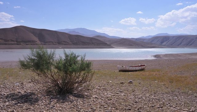 Kuraklık, Doğu Anadolu Bölgesi'ndeki çiftçiyi de endişelendirmeye başladı. Bu yıl yağışların az olması Van'da sulama amaçlı kurulan Zernek Barajı'nı neredeyse kuruttu. 105 milyon metreküp su depolanan barajda, sulama sezonunun bitimine 10 gün kala yüzde