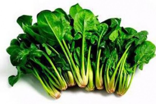 En popüler yeşil olan ıspanak, lutein açısından önemli bir üne sahiptir.