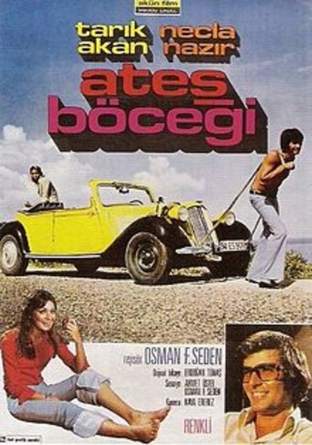 Ateş Böceği
