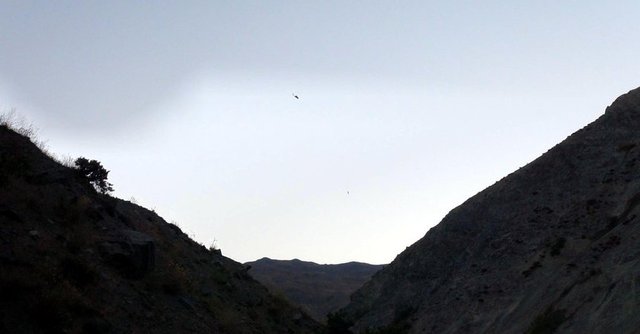 Sikorsky helikopterin stratejik noktalara indirdiği Jandarma Özel Harekat timlerinin çevre güvenliği sağlarken, Kobra helikopterler sürekli uçuş yaptı. -