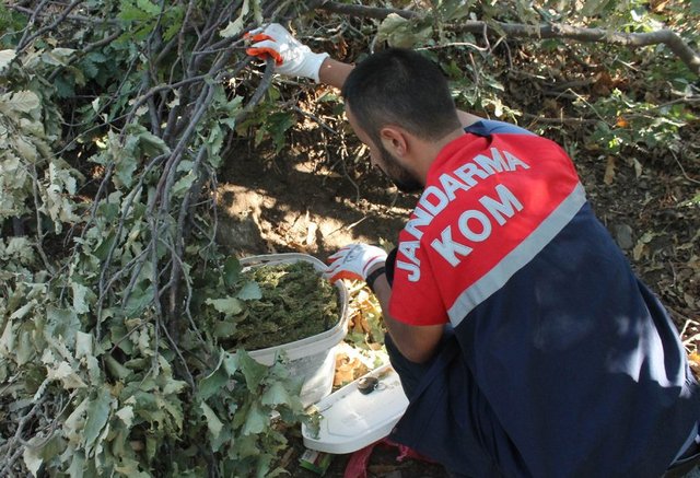 Ele geçirilen ve piyasa değeri 35 milyon lira olduğu belirtilen uyuşturucular jandarma gözetiminde bölgede yakılarak imha edildi. Gözaltına alınan Y.B. ile M.D., ile ilgili soruşturma sürdürülüyor.  -  - İHA