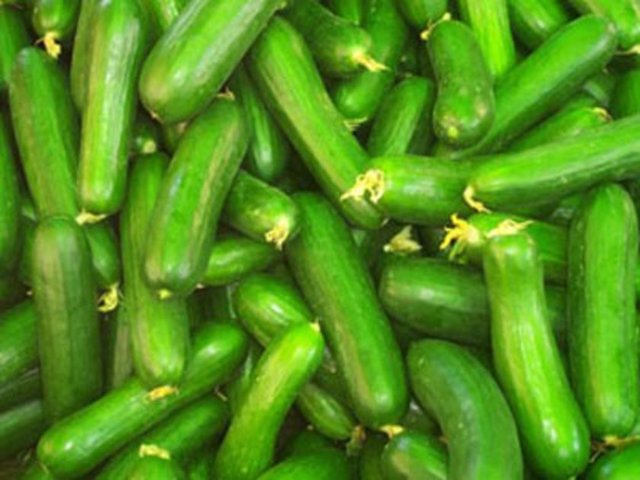 Basura iyi gelir. Harareti keser.