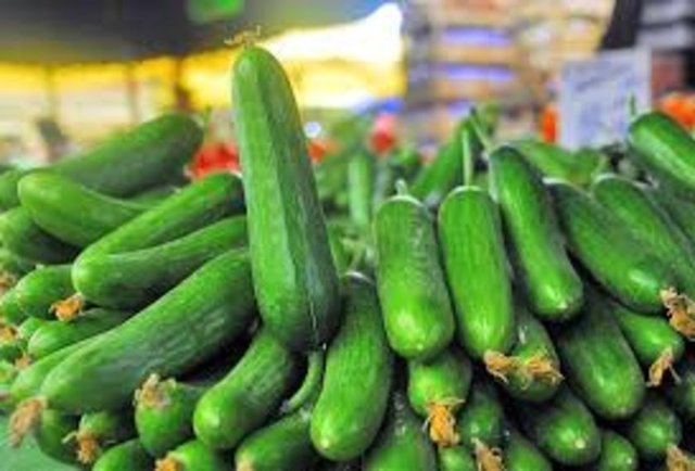 Bağırsakları yumuşatır ve kabızlığı giderir.