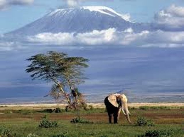 79. Kenya