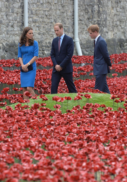 PRENS WILLIAM - KATE MIDDLETON