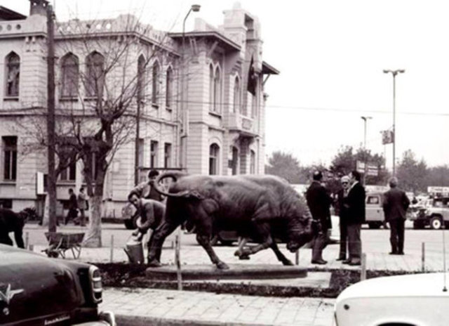 Heykel 1971'de, günümüzde Kadıköy Belediyesi Tarih, Edebiyat ve Sanat Kütüphanesi olarak hizmet veren Kadıköy Şehremaneti binasının önüne getirilir.