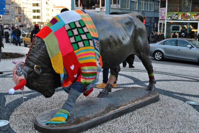 Kadıköylüler, soğuk geçen kışlarda Boğa'ya zaman zaman elleriyle diktikleri hırka, çorap ve bereleri giydiriyor.