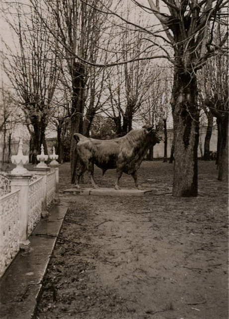 Ne hikmetse bizim Boğa'nın kardeşine kimse göz koymaz. (Boğaziçi Köprüsü'nden geçerken Beylerbeyi Sarayı'nın bahçesine dikkatlice bakarsanız "Diklenen Boğa" heykelini görebilirsiniz) -  -