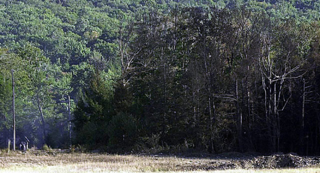 10:03:11 - Kontrolü kaybedebileceklerini anlayan hava korsanları, uçağı Pensilvanya'da Shanksville yakınlarında yere çakıyor. Uçaktaki yolcu ve mürettebat yakınlarına ettikleri telefonlardan New York'taki saldırıları öğrenmiş ve karşı saldırıya geçmişti.