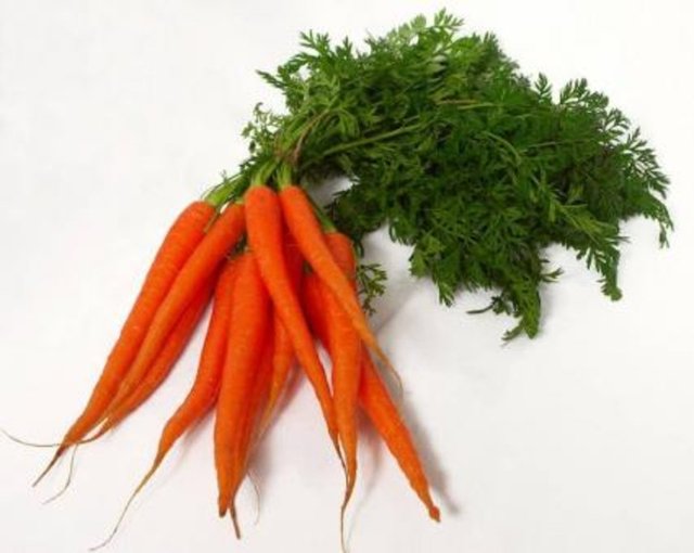 Havucun, bol A vitamini ile cilde temizlik ve pembelik verdiğini ve gözlerin sıhhatli kalmasını sağladığını belirten uzmanlar, kalp rahatsızlığı ve damar sertliği olanlara havucun çok fayda verdiğini belirtiyor.