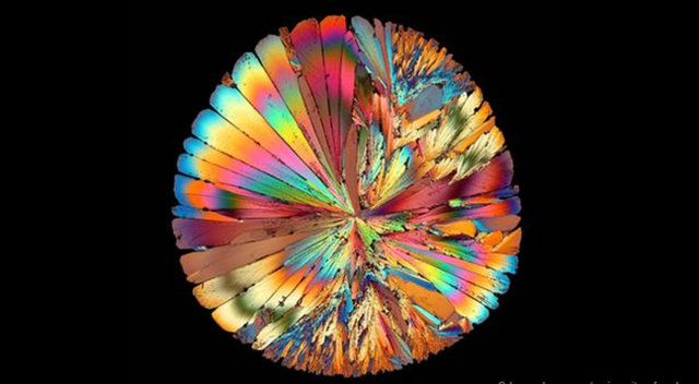 Ünlü bir İtalyan alkollü içkisinden bir damlanın kristalize olması sonucu oluşan sükroz kristallerinin parıldayışı.