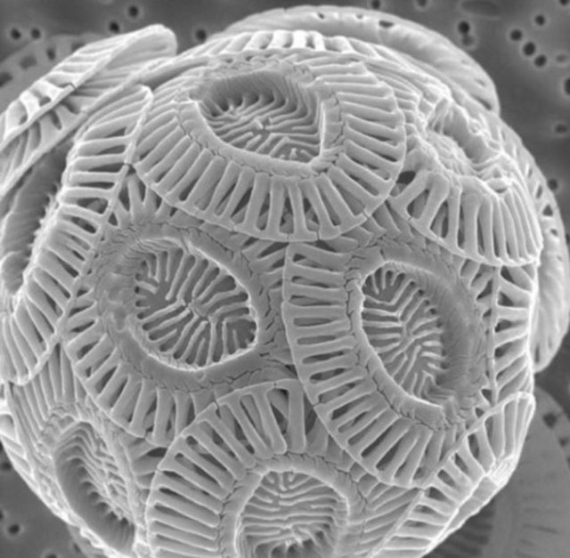 Okullarda sıklıkla kullanılır...