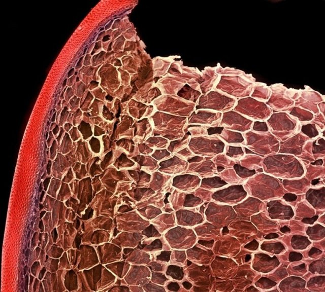 Milletçe gerek yemeklerde gerekse sade olarak tüketmeyi severiz...