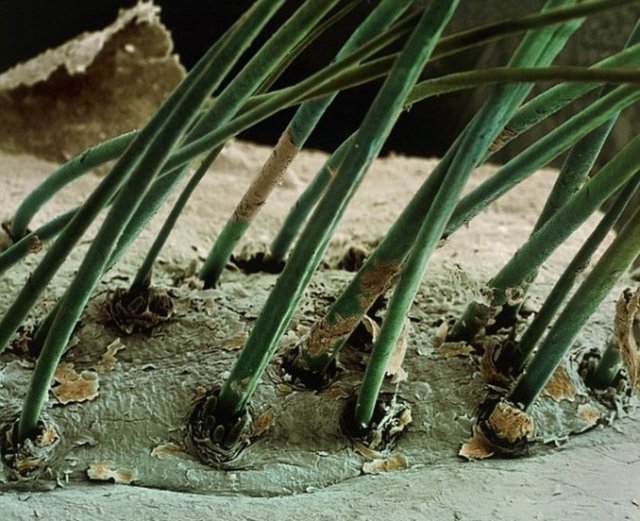 Ne olduğunu anlayabildiniz mi?