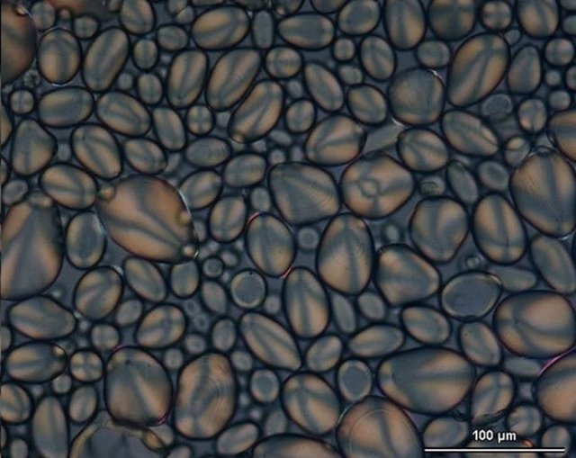 Peki bunun ne olduğunu tahmin edebildiniz mi?