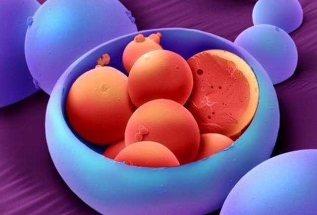 Bunu tahmin etmek zor görünüyor...