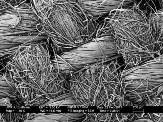 Ne olduğunu anlayabildiniz mi?