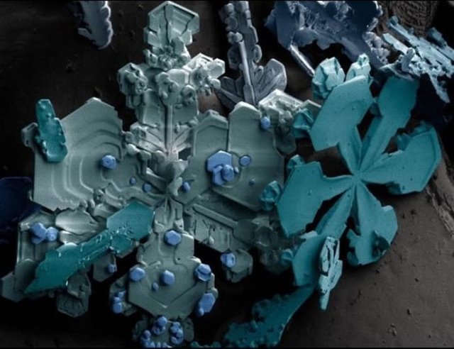 Ne olduğunu tahmin edebildiniz mi?