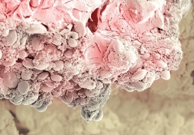 Bunun ne olduğunu biliyor musunuz?