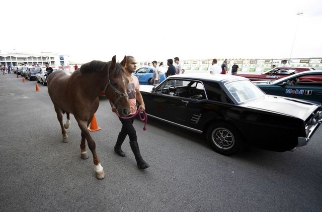 Aracın logosunda bulunan vahşi atı temsilen piste iki adet at getirilerek araçlar arasında dolaştırıldı.
