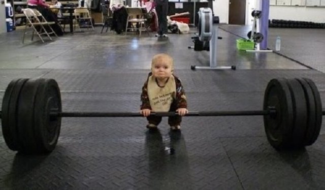 Bir bebek öküz kadar güçlüdür. Tabii ki bir bebek öküz arabası çekemez ama bebek öküzün boyutlarında olsaydı, bunu yapabilecek kadar güçlü olurdu.