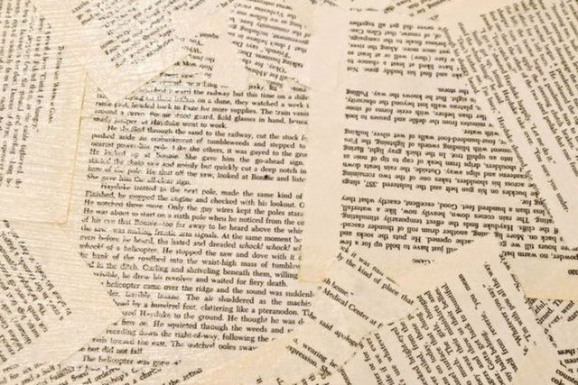 22. Beynimiz dakikada 1,000 kelime okuyabilir.