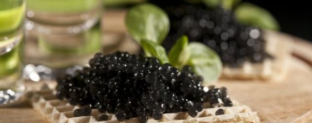 HAVYAR: -  - Yüzyıllardır afrodizyak olarak kullanılmaktadır. İçerdiği çinko miktarı nedeniyle erkeklik hormonlarının yapımını artırıyor. Çinkonun aynı zamanda sperm kalitesini de artırdığı belirlenmiştir.