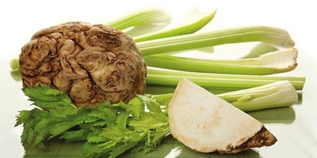 KEREVİZ: -  - Çeşitli iç salgı bezlerine tesir eder ve onların faaliyetlerini artırır. Erkeklerde cinsel faaliyeti çok arttırarak vakitsiz iktidarsızlığı önler. Özellikle 30'lu yaşlarda mutlaka yiyin.